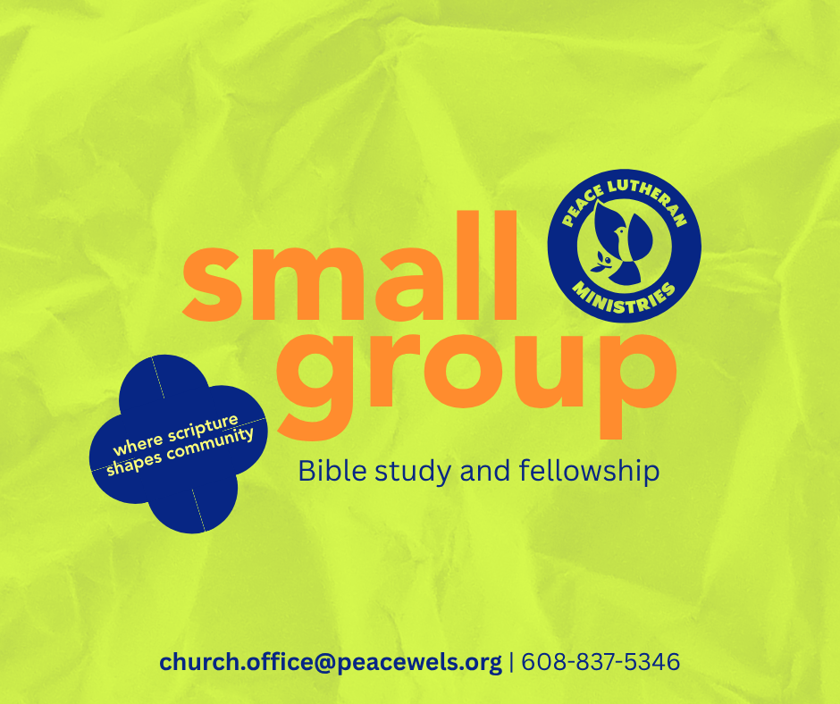 Small Group Bible Study and Fellowship
