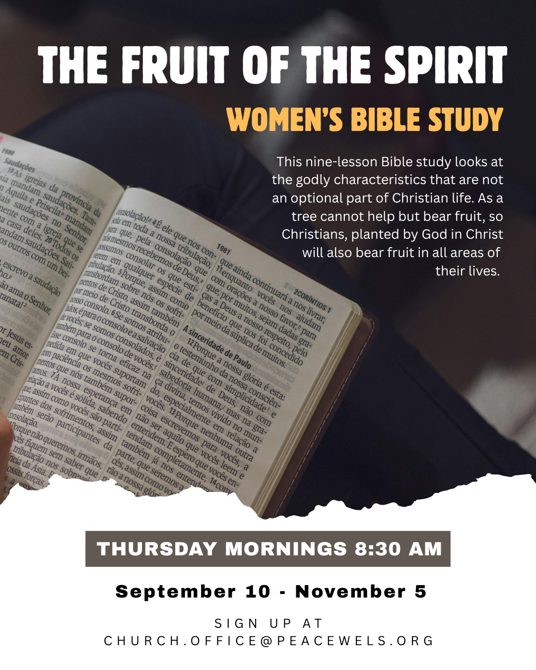 Women’s Bible Study – morning study
